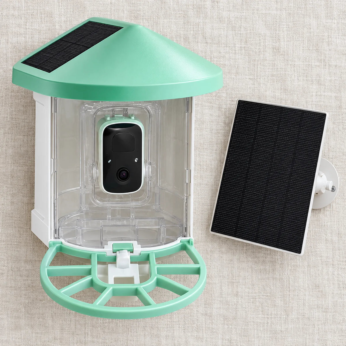 Bird feeder and solar panel